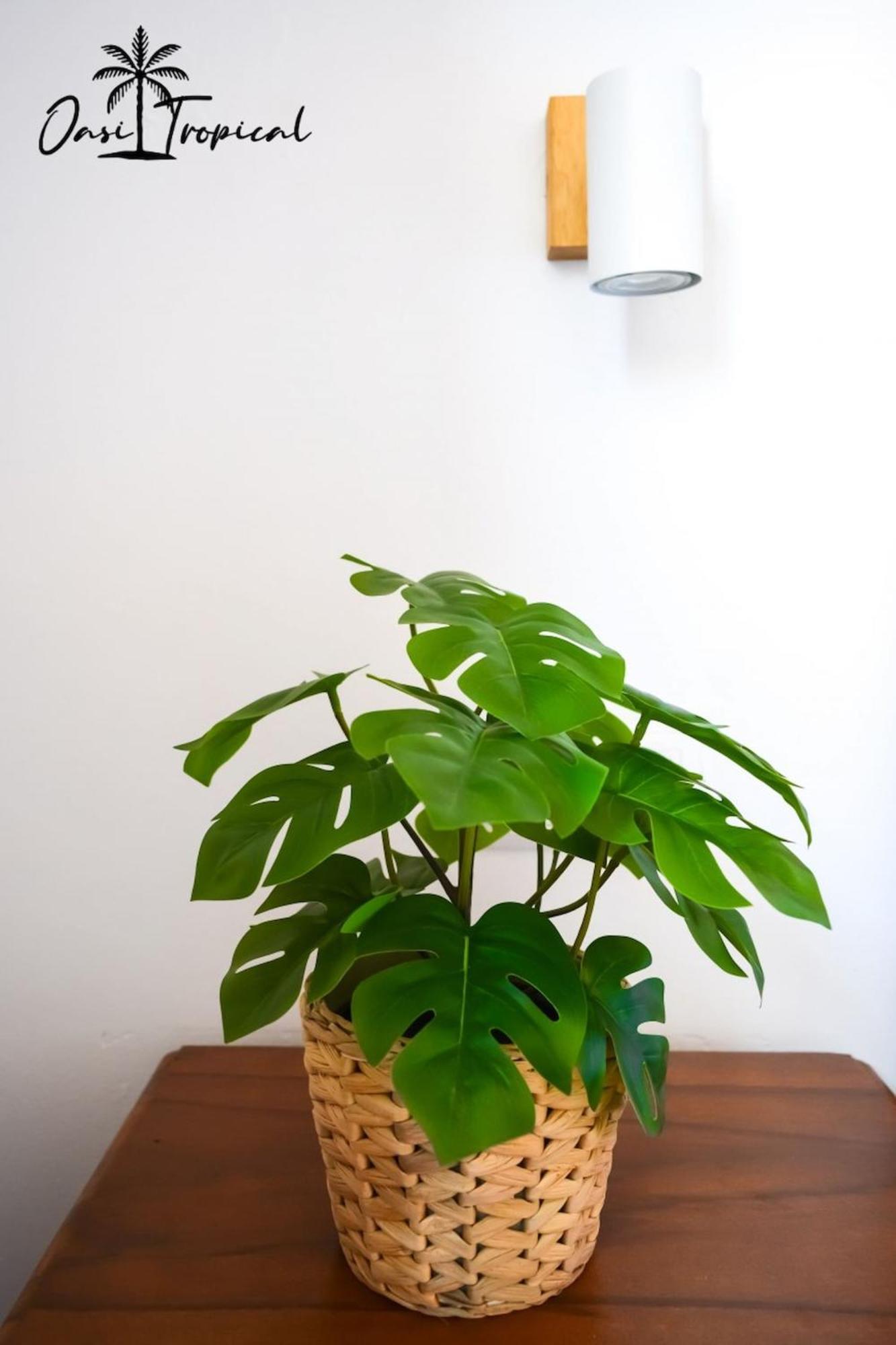 Oasi Tropical Wifi Free By Rentalfue คอร์ราเลโฮ ภายนอก รูปภาพ